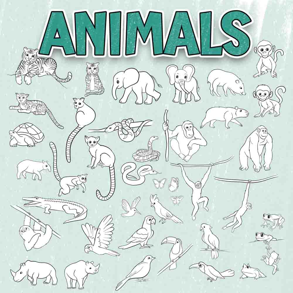 Jungle Animals Coloring Page Scene Creator Set